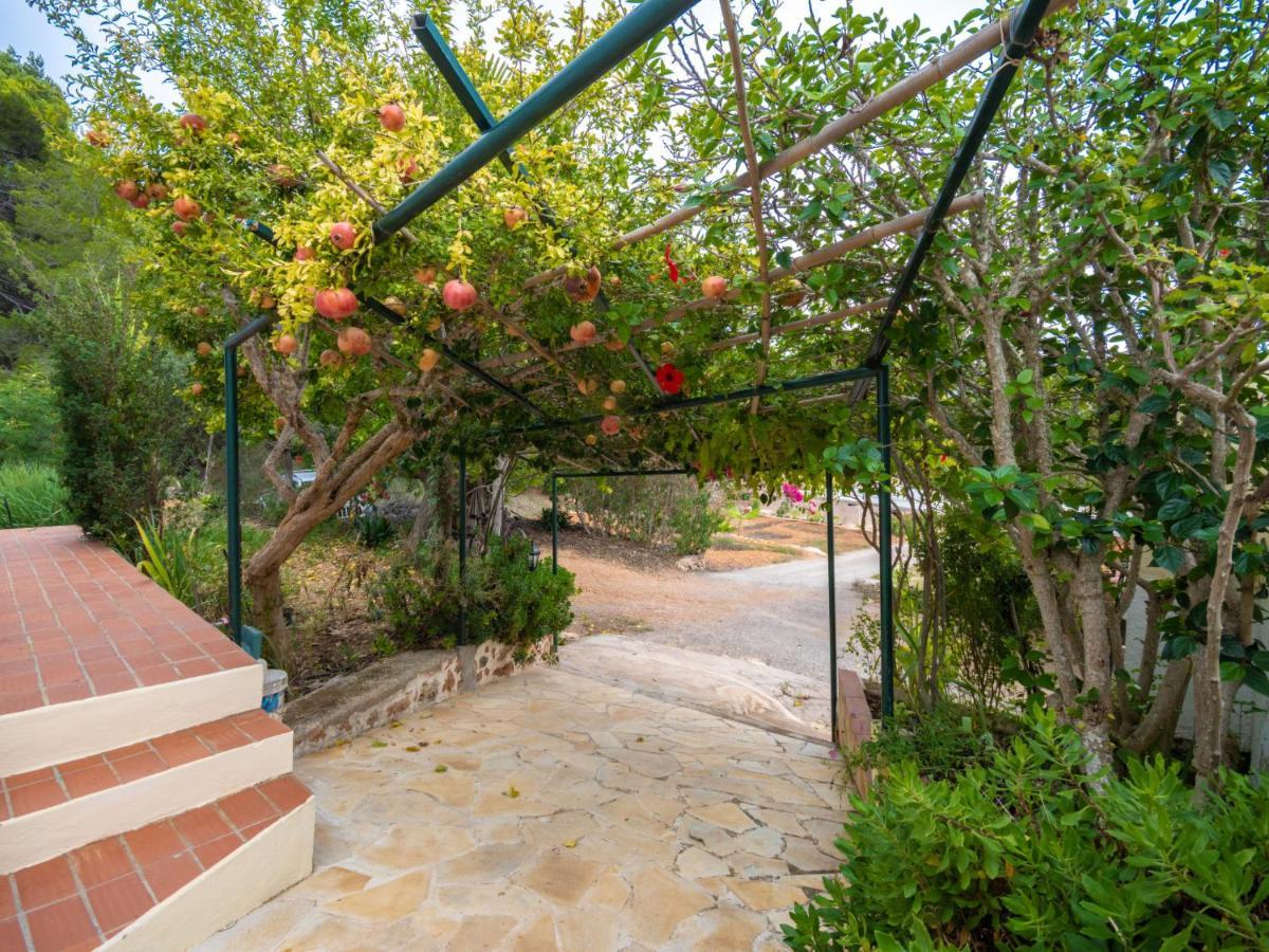 Holiday Home Can Toni Mari By Interhome Сан-Карлос-де Перальта Екстер'єр фото